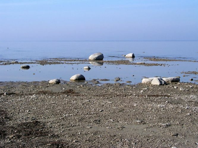 Maakond: Viljandimaa Veekogu nimi: Võrtsjärv Pildistamise aeg: 12. oktoober 2005 Pildistaja: H. Timm Pildistamise koht: Vanausse Asimuut: