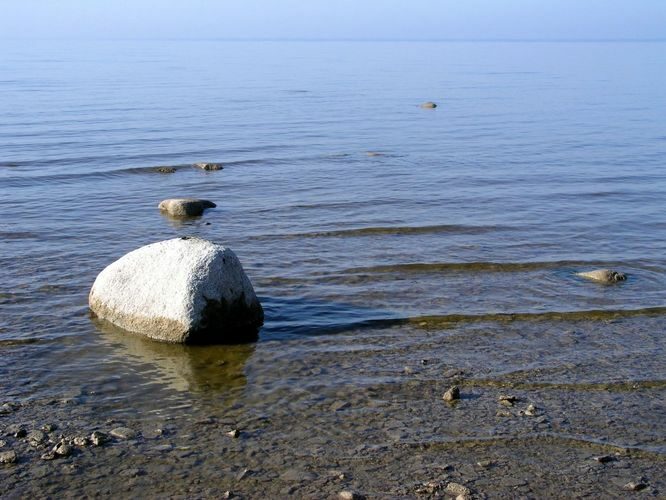 Maakond: Viljandimaa Veekogu nimi: Võrtsjärv Pildistamise aeg: 12. oktoober 2005 Pildistaja: H. Timm Pildistamise koht: Vanausse Asimuut: