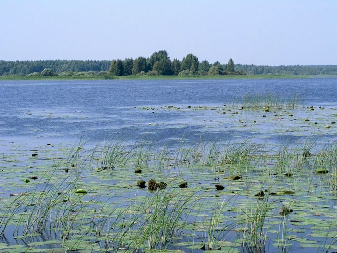 Maakond: Valgamaa Veekogu nimi: Võrtsjärv Pildistamise aeg: august 2005 Pildistaja: H. Timm Pildistamise koht: Maapera neem Asimuut: