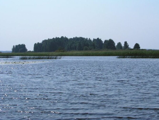 Maakond: Valgamaa Veekogu nimi: Võrtsjärv Pildistamise aeg: august 2005 Pildistaja: H. Timm Pildistamise koht: Pähksaar Asimuut: