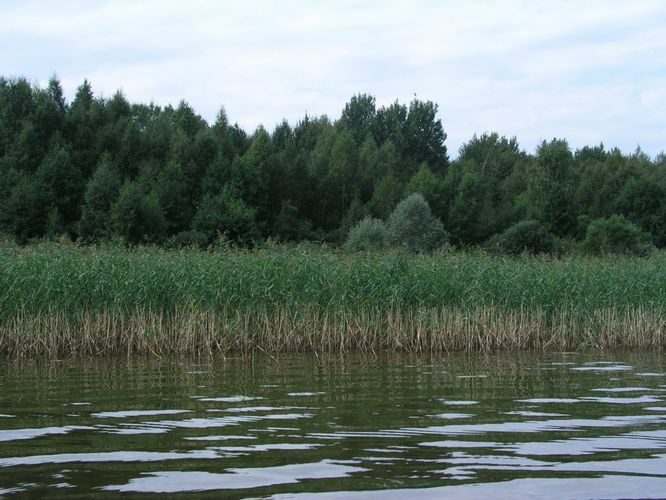 Maakond: Viljandimaa Veekogu nimi: Võrtsjärv Pildistamise aeg: august 2005 Pildistaja: H. Timm Pildistamise koht: Saba Asimuut: