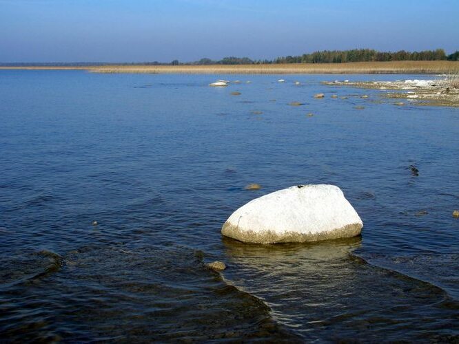 Maakond: Viljandimaa Veekogu nimi: Võrtsjärv Pildistamise aeg: 12. oktoober 2005 Pildistaja: H. Timm Pildistamise koht: Vanausse Asimuut: