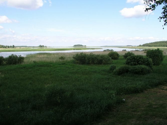 Maakond: Valgamaa Veekogu nimi: Võrtsjärv Pildistamise aeg: 24. juuni 2006 Pildistaja: H. Timm Pildistamise koht: teadmata Asimuut: