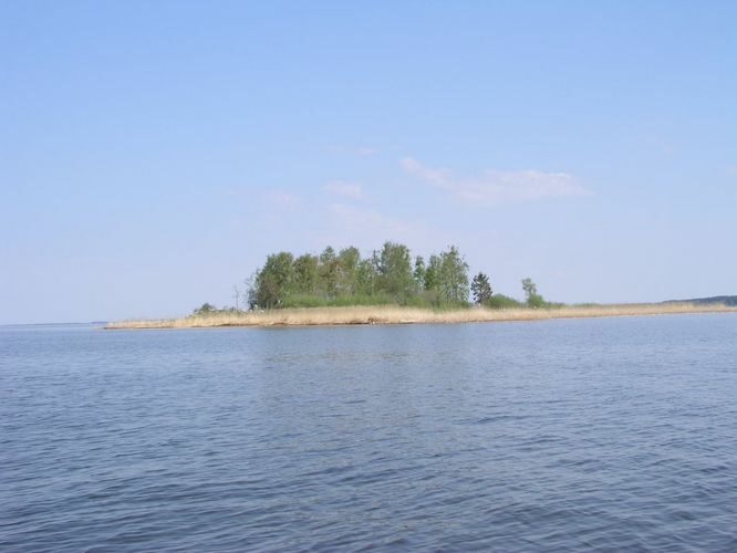 Maakond: Viljandimaa Veekogu nimi: Võrtsjärv Pildistamise aeg: mai 2006 Pildistaja: H. Timm Pildistamise koht: Tondisaar S-st Asimuut: