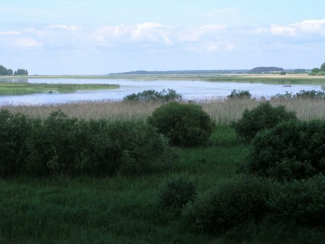 Maakond: Valgamaa Veekogu nimi: Võrtsjärv Pildistamise aeg: 24. juuni 2006 Pildistaja: H. Timm Pildistamise koht: teadmata Asimuut: