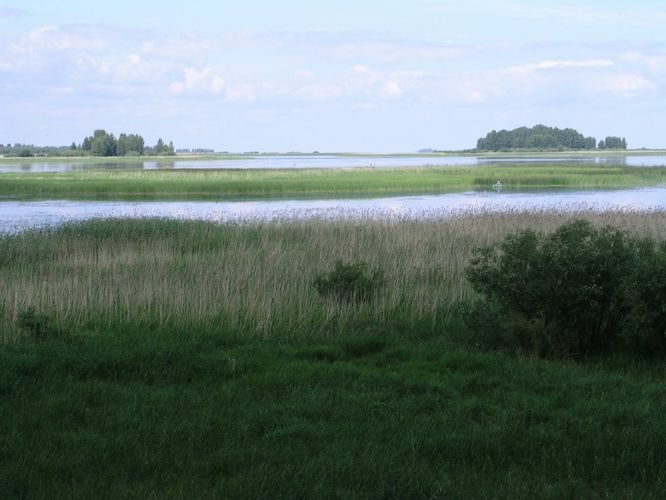 Maakond: Valgamaa Veekogu nimi: Võrtsjärv Pildistamise aeg: 24. juuni 2006 Pildistaja: H. Timm Pildistamise koht: teadmata Asimuut: