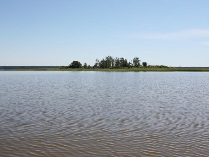 Maakond: Viljandimaa Veekogu nimi: Võrtsjärv Pildistamise aeg: 26. juuli 2008 Pildistaja: H. Timm Pildistamise koht: Tondisaar Asimuut: