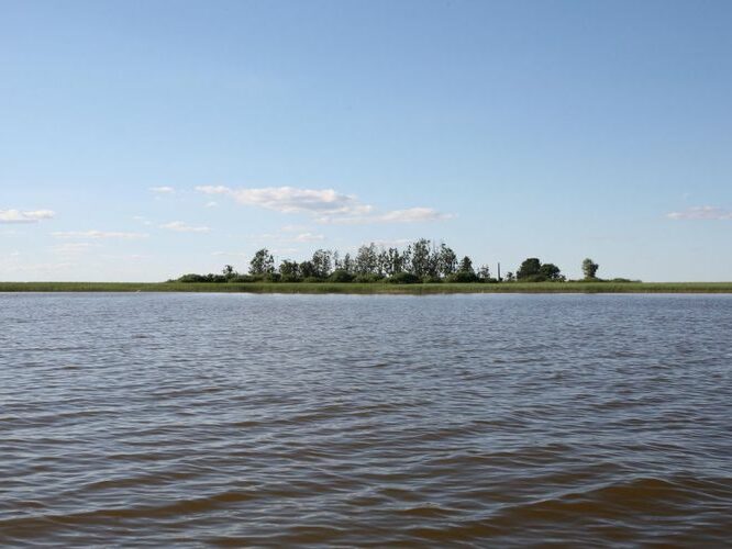 Maakond: Viljandimaa Veekogu nimi: Võrtsjärv Pildistamise aeg: 25. juuli 2008 Pildistaja: H. Timm Pildistamise koht: Tondisaar Asimuut: