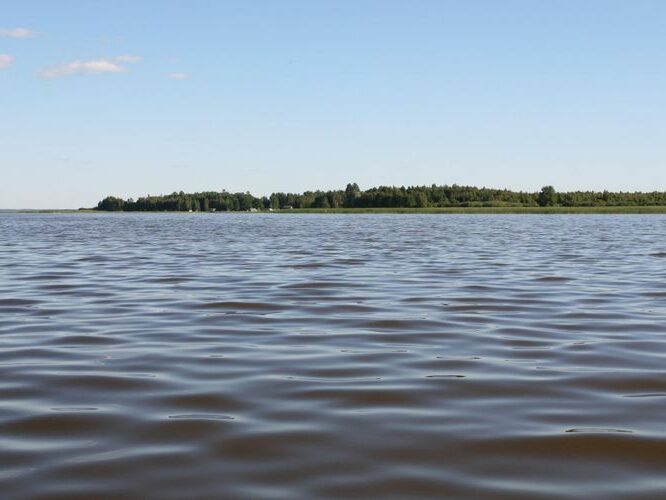 Maakond: Viljandimaa Veekogu nimi: Võrtsjärv Pildistamise aeg: 25. juuli 2008 Pildistaja: H. Timm Pildistamise koht: Arumetsa Asimuut: