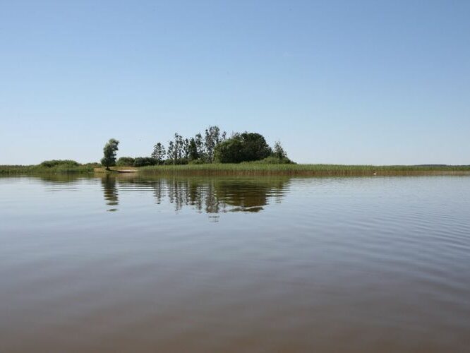 Maakond: Viljandimaa Veekogu nimi: Võrtsjärv Pildistamise aeg: 26. juuli 2008 Pildistaja: H. Timm Pildistamise koht: Tondisaar Asimuut: