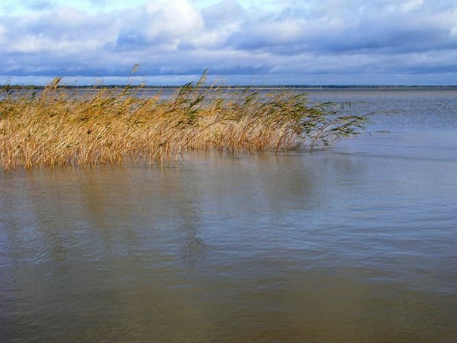 Maakond: Viljandimaa Veekogu nimi: Võrtsjärv Pildistamise aeg: 5. oktoober 2009 Pildistaja: H. Timm Pildistamise koht: Valma Asimuut: