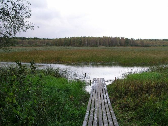 Maakond: Valgamaa Veekogu nimi: Võrtsjärv Pildistamise aeg: juuni 2009 Pildistaja: H. Timm Pildistamise koht: Vooremäelt Asimuut: