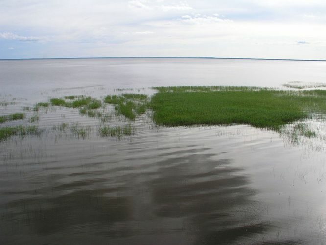 Maakond: Viljandimaa Veekogu nimi: Võrtsjärv Pildistamise aeg: 16. juuni 2009 Pildistaja: H. Timm Pildistamise koht: Rannu-Jõesuu tornist Asimuut: