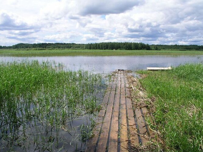 Maakond: Valgamaa Veekogu nimi: Võrtsjärv Pildistamise aeg: juuni 2009 Pildistaja: H. Timm Pildistamise koht: Vooremäelt Asimuut: