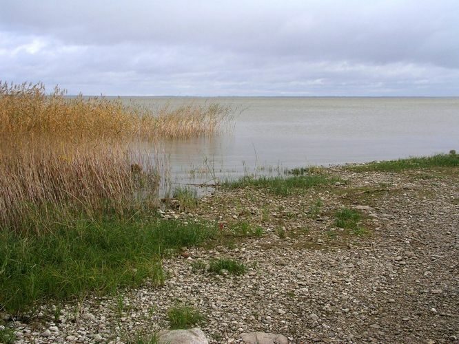 Maakond: Viljandimaa Veekogu nimi: Võrtsjärv Pildistamise aeg: 5. oktoober 2009 Pildistaja: H. Timm Pildistamise koht: Valma Asimuut: