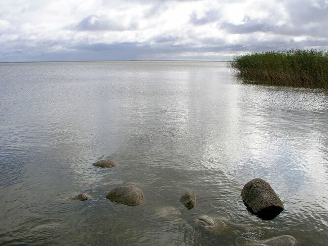 Maakond: Viljandimaa Veekogu nimi: Võrtsjärv Pildistamise aeg: 5. oktoober 2009 Pildistaja: H. Timm Pildistamise koht: Valma Asimuut: