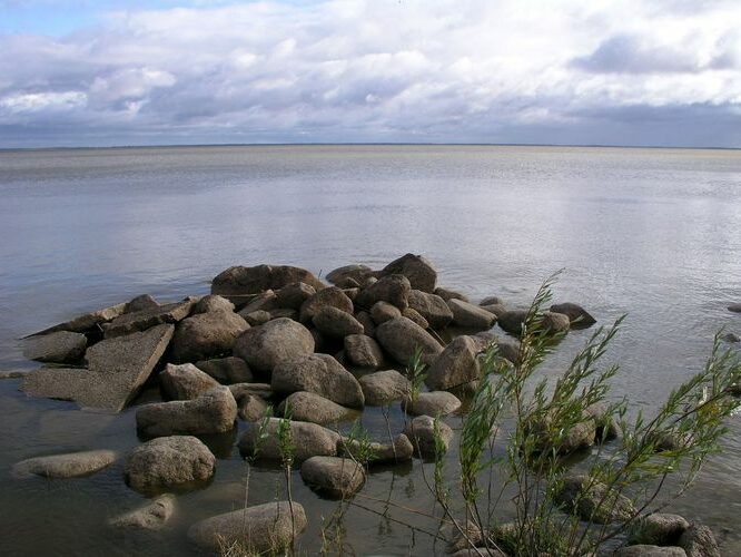 Maakond: Viljandimaa Veekogu nimi: Võrtsjärv Pildistamise aeg: 5. oktoober 2009 Pildistaja: H. Timm Pildistamise koht: Valma Asimuut: