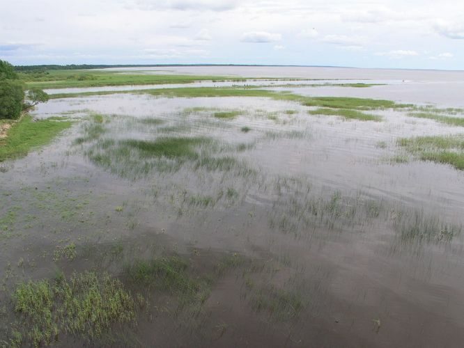 Maakond: Viljandimaa Veekogu nimi: Võrtsjärv Pildistamise aeg: 16. juuni 2009 Pildistaja: H. Timm Pildistamise koht: Rannu-Jõesuu tornist Asimuut: