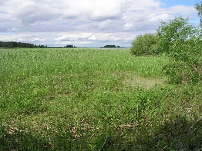 Maakond: Valgamaa Veekogu nimi: Võrtsjärv Pildistamise aeg: 6. juuni 2009 Pildistaja: H. Timm Pildistamise koht: Vooremäelt Asimuut: