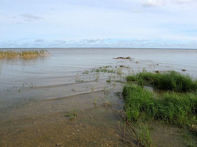 Maakond: Viljandimaa Veekogu nimi: Võrtsjärv Pildistamise aeg: 23. september 2010 Pildistaja: H. Timm Pildistamise koht: Valma Asimuut: