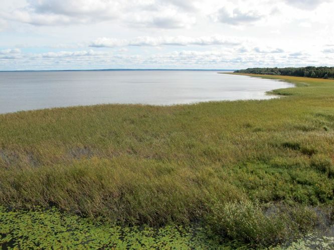 Maakond: Viljandimaa Veekogu nimi: Võrtsjärv Pildistamise aeg: 23. september 2010 Pildistaja: H. Timm Pildistamise koht: Tarvastu poldri puhkeala), tornist Asimuut: