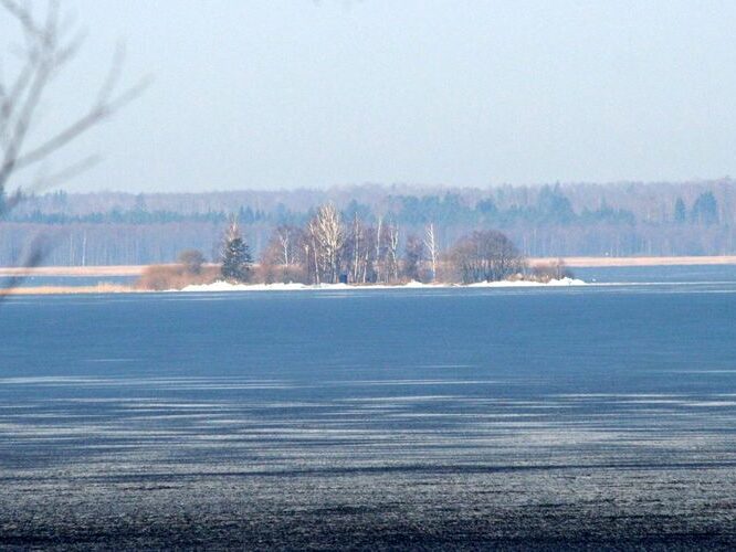 Maakond: Viljandimaa Veekogu nimi: Võrtsjärv Pildistamise aeg: 13. aprill 2010 Pildistaja: H. Timm Pildistamise koht: Tondisaar Asimuut: