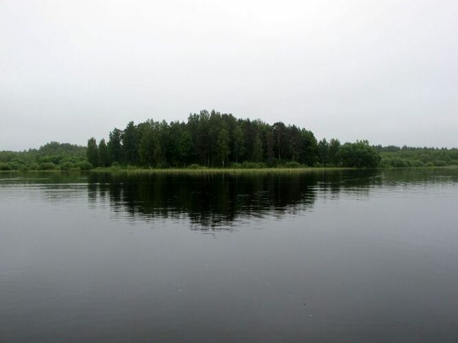 Maakond: Valgamaa Veekogu nimi: Võrtsjärv Pildistamise aeg: juuni 2010 Pildistaja: H. Timm Pildistamise koht: Vooremägi Asimuut: