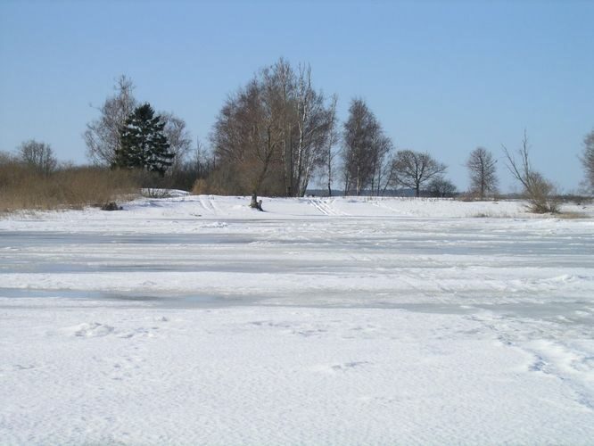 Maakond: Viljandimaa Veekogu nimi: Võrtsjärv Pildistamise aeg: märts 2012 Pildistaja: H. Timm Pildistamise koht: Tondisaar Asimuut: