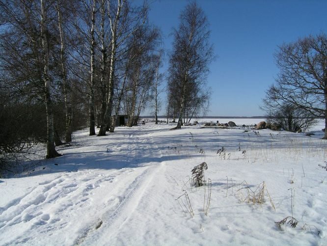 Maakond: Viljandimaa Veekogu nimi: Võrtsjärv Pildistamise aeg: märts 2012 Pildistaja: H. Timm Pildistamise koht: Tondisaar Asimuut: