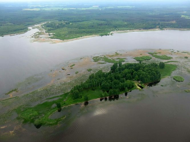 Maakond: Valgamaa Veekogu nimi: Võrtsjärv Pildistamise aeg: 29. mai 2013 Pildistaja: H. Timm Pildistamise koht: aerofoto Asimuut: