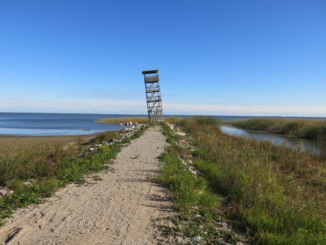 Maakond: Viljandimaa Veekogu nimi: Võrtsjärv Pildistamise aeg: 26. september 2013 Pildistaja: H. Timm Pildistamise koht: Tarvastu polder Asimuut: