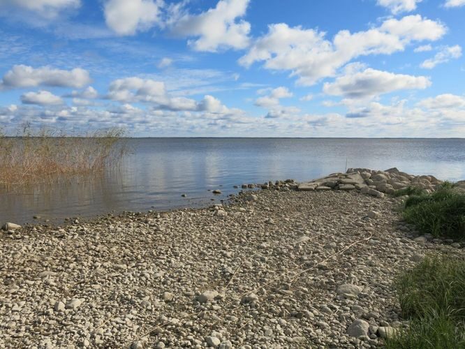 Maakond: Viljandimaa Veekogu nimi: Võrtsjärv Pildistamise aeg: 26. september 2013 Pildistaja: H. Timm Pildistamise koht: Valma Asimuut: