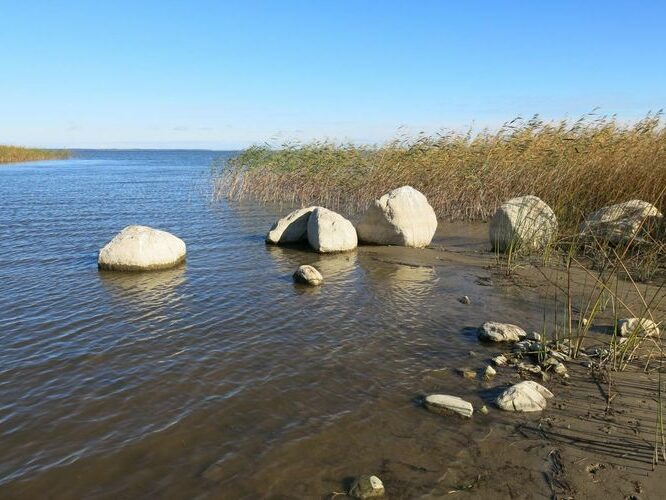 Maakond: Viljandimaa Veekogu nimi: Võrtsjärv Pildistamise aeg: 26. september 2013 Pildistaja: H. Timm Pildistamise koht: Tarvastu polder Asimuut: