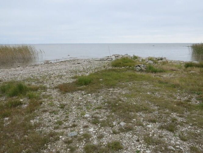 Maakond: Viljandimaa Veekogu nimi: Võrtsjärv Pildistamise aeg: 26. september 2014 Pildistaja: H. Timm Pildistamise koht: Valma Asimuut: