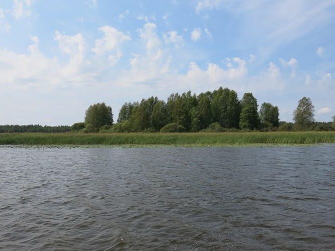 Maakond: Valgamaa Veekogu nimi: Võrtsjärv Pildistamise aeg: 11. august 2014 Pildistaja: H. Timm Pildistamise koht: Pähksaar Asimuut: