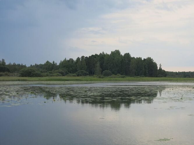 Maakond: Valgamaa Veekogu nimi: Võrtsjärv Pildistamise aeg: 11. august 2014 Pildistaja: H. Timm Pildistamise koht: Vooremägi Asimuut: