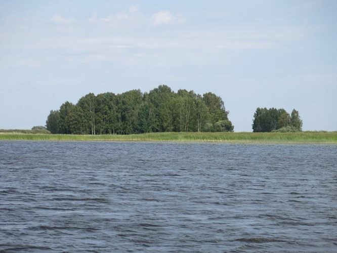 Maakond: Valgamaa Veekogu nimi: Võrtsjärv Pildistamise aeg: 11. august 2014 Pildistaja: H. Timm Pildistamise koht: Pähksaar Asimuut: