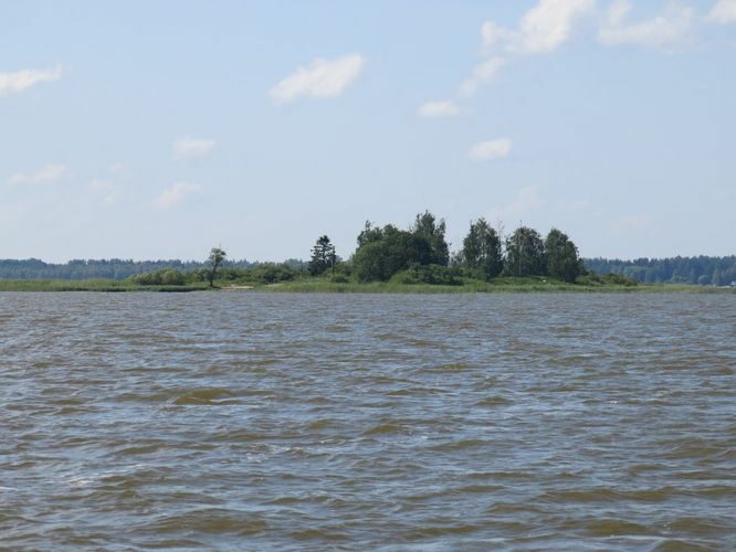 Maakond: Viljandimaa Veekogu nimi: Võrtsjärv Pildistamise aeg: 22. juuli 2014 Pildistaja: H. Timm Pildistamise koht: Tondisaar Asimuut: