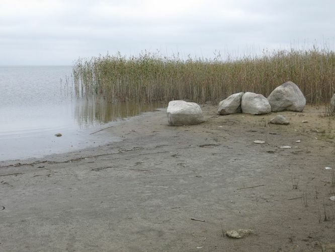 Maakond: Viljandimaa Veekogu nimi: Võrtsjärv Pildistamise aeg: 26. september 2014 Pildistaja: H. Timm Pildistamise koht: Tarvastu polder Asimuut: