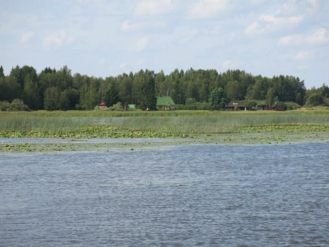 Maakond: Valgamaa Veekogu nimi: Võrtsjärv Pildistamise aeg: 11. august 2014 Pildistaja: H. Timm Pildistamise koht: Kalassaar Asimuut: