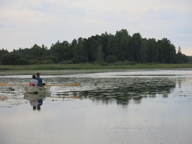 Maakond: Valgamaa Veekogu nimi: Võrtsjärv Pildistamise aeg: 11. august 2014 Pildistaja: H. Timm Pildistamise koht: Vooremägi Asimuut: