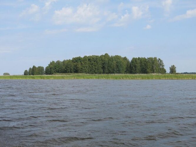 Maakond: Valgamaa Veekogu nimi: Võrtsjärv Pildistamise aeg: 11. august 2014 Pildistaja: H. Timm Pildistamise koht: Pähksaar Asimuut: