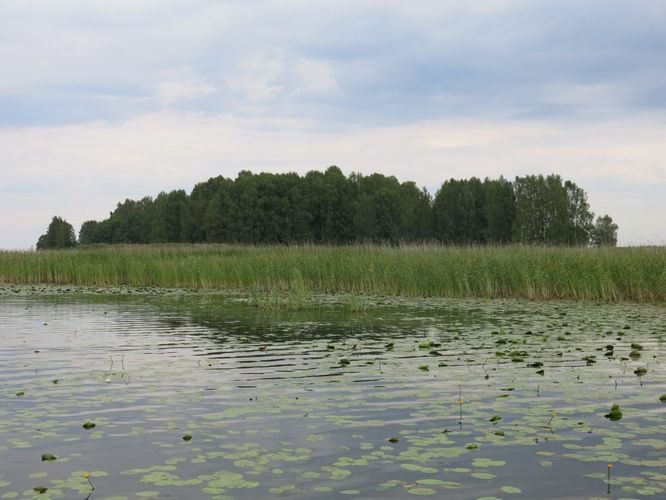 Maakond: Valgamaa Veekogu nimi: Võrtsjärv Pildistamise aeg: 11. august 2014 Pildistaja: H. Timm Pildistamise koht: Vooremägi Asimuut: