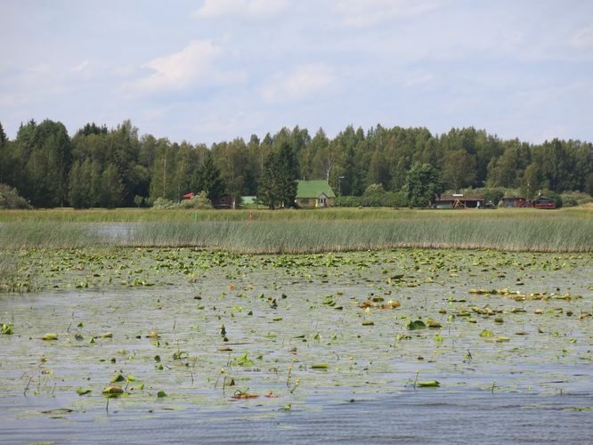 Maakond: Valgamaa Veekogu nimi: Võrtsjärv Pildistamise aeg: 11. august 2014 Pildistaja: H. Timm Pildistamise koht: Kalassaar Asimuut: