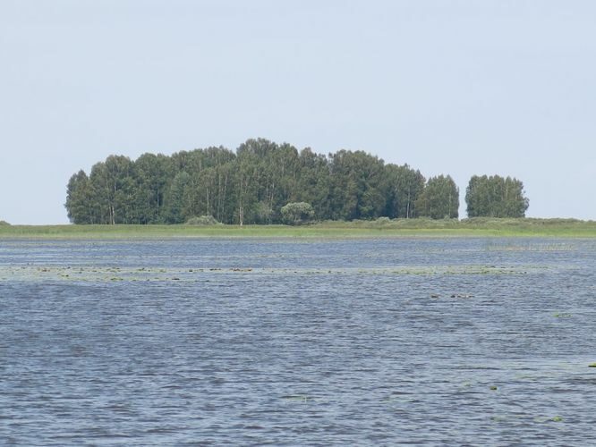 Maakond: Valgamaa Veekogu nimi: Võrtsjärv Pildistamise aeg: 11. august 2014 Pildistaja: H. Timm Pildistamise koht: Pähksaar Asimuut: