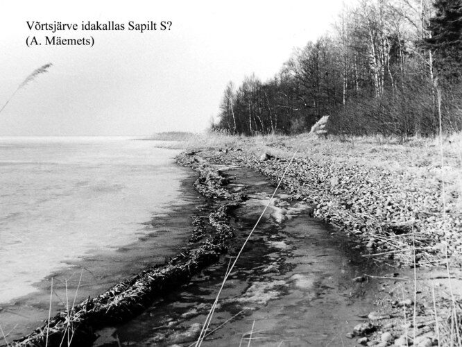 Maakond: Valgamaa Veekogu nimi: Võrtsjärv Pildistamise aeg: teadmata Pildistaja: A. Mäemets Pildistamise koht: teadmata Asimuut: