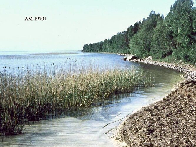 Maakond: Valgamaa Veekogu nimi: Võrtsjärv Pildistamise aeg: teadmata Pildistaja: A. Mäemets Pildistamise koht: teadmata Asimuut: