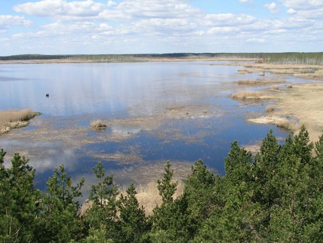 Maakond: Jõgevamaa Veekogu nimi: Endla järv Pildistamise aeg: 20. mai 2005 Pildistaja: H. Timm Pildistamise koht: tornist loodesse Veekogude registri viide: https://register.keskkonnaportaal.ee/register/body-of-water/8378233