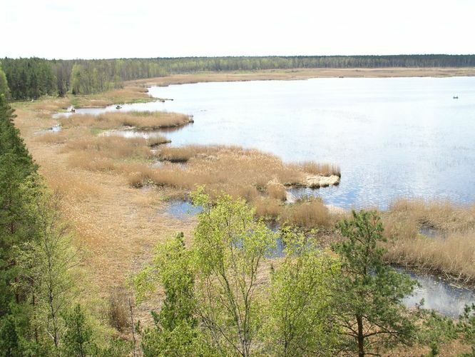 Maakond: Jõgevamaa Veekogu nimi: Endla järv Pildistamise aeg: 20. mai 2005 Pildistaja: H. Timm Pildistamise koht: tornist lõunasse Veekogude registri viide: https://register.keskkonnaportaal.ee/register/body-of-water/8378233