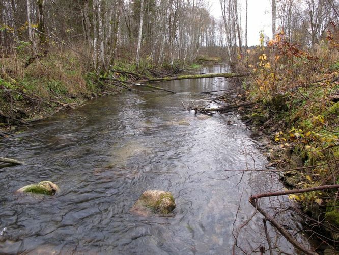 Maakond: Võrumaa Veekogu nimi: Esna jõgi Pildistamise aeg: 24. oktoober 2012 Pildistaja: H. Timm Pildistamise koht: Peetri - Anna Veekogude registri viide: https://register.keskkonnaportaal.ee/register/body-of-water/8380230